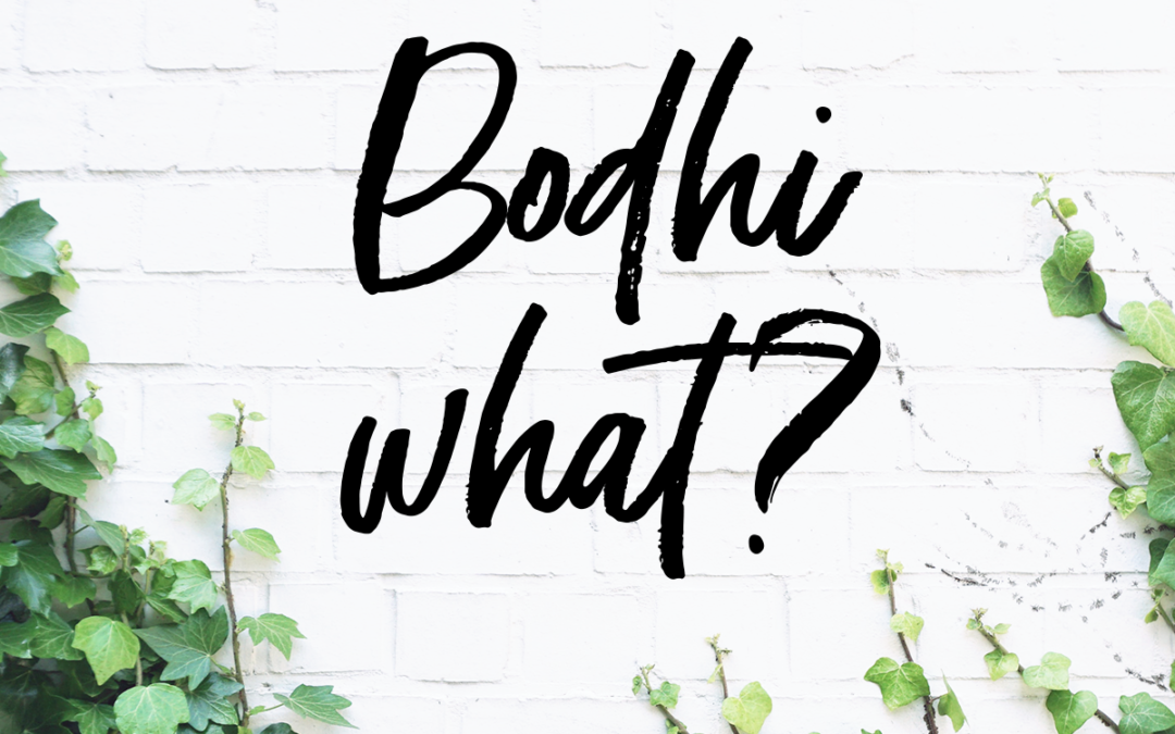 Bodhi what? Bodhicitta? Bodhisattva? What’s the difference?