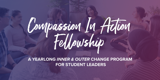 Introducing the Compassion in Action Fellowship