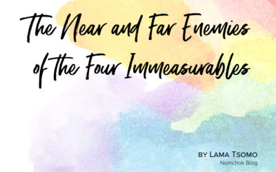 Understanding the Four Immeasurables and Their Near and Far Enemies