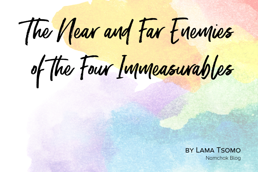 Understanding the Four Immeasurables and Their Near and Far Enemies