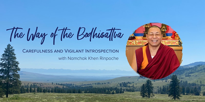 The Way of the Bodhisattva: Carefulness and Vigilant Introspection