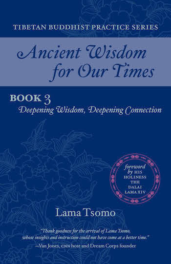 Wisdom and Compassion book