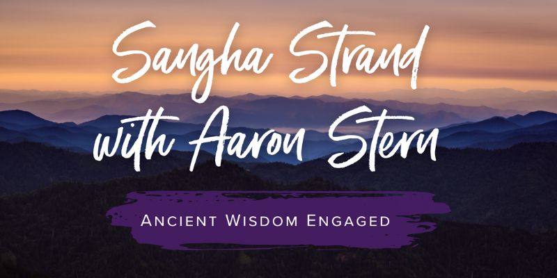 Sangha Strand with Aaron Stern