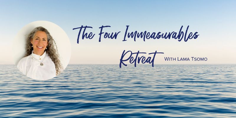 The Four Immeasurables