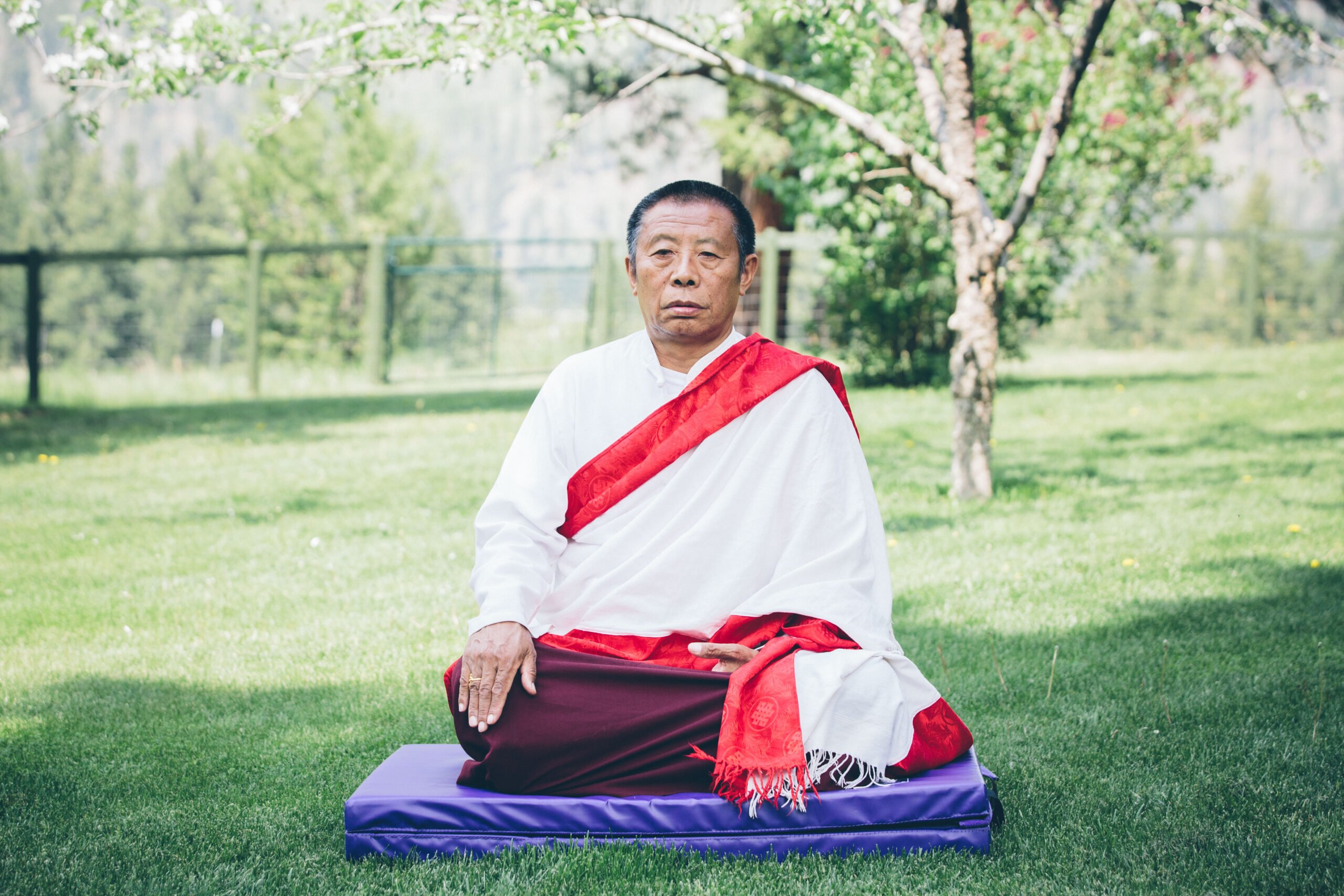 Tulku Sangak Rinpoche - Meditation