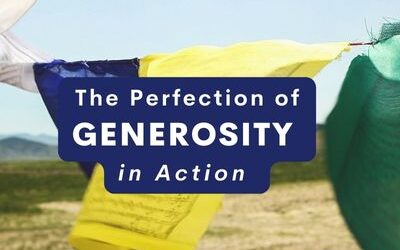 The Perfection of Generosity in Action