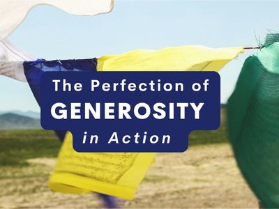 The Perfection of Generosity in Action