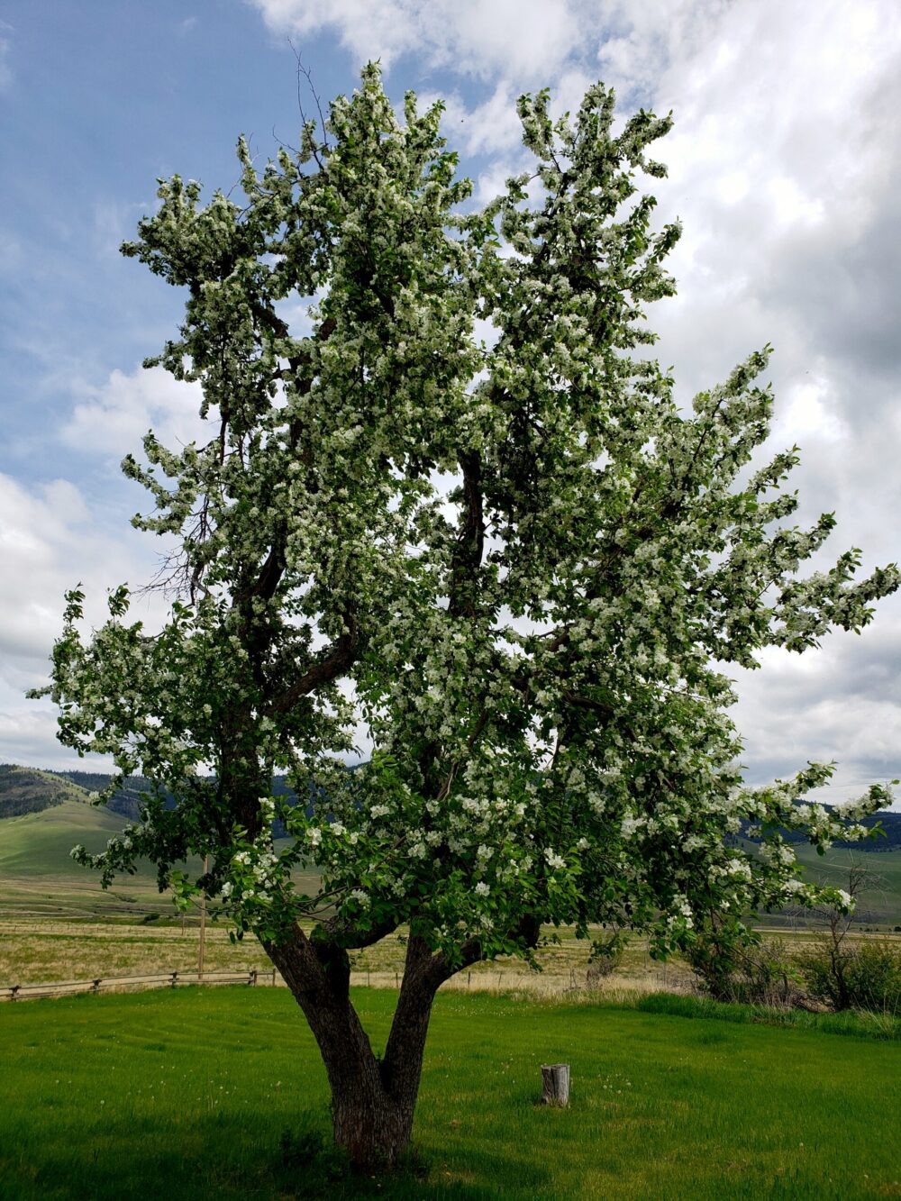 Namchak Retreat Ranch