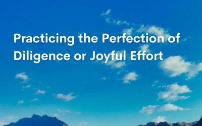 Practicing the Perfection of Diligence or Joyful Effort