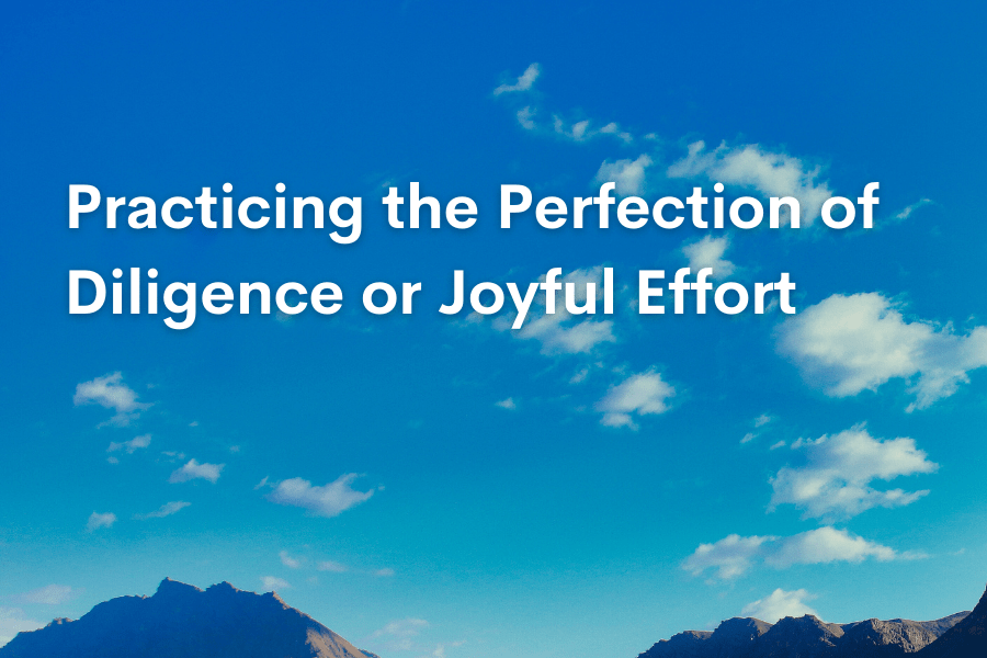 Practicing the Perfection of Diligence or Joyful Effort