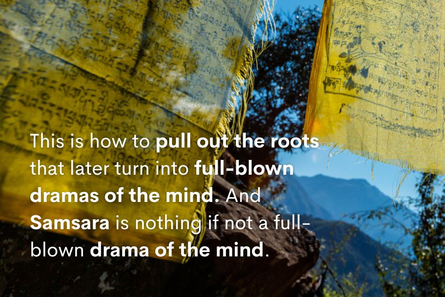 wisdom 2