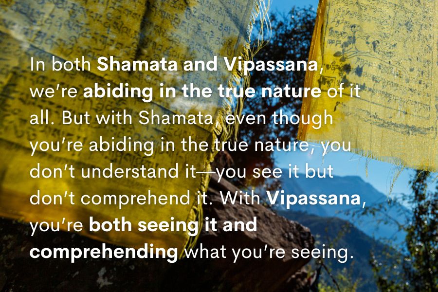 wisdom 3