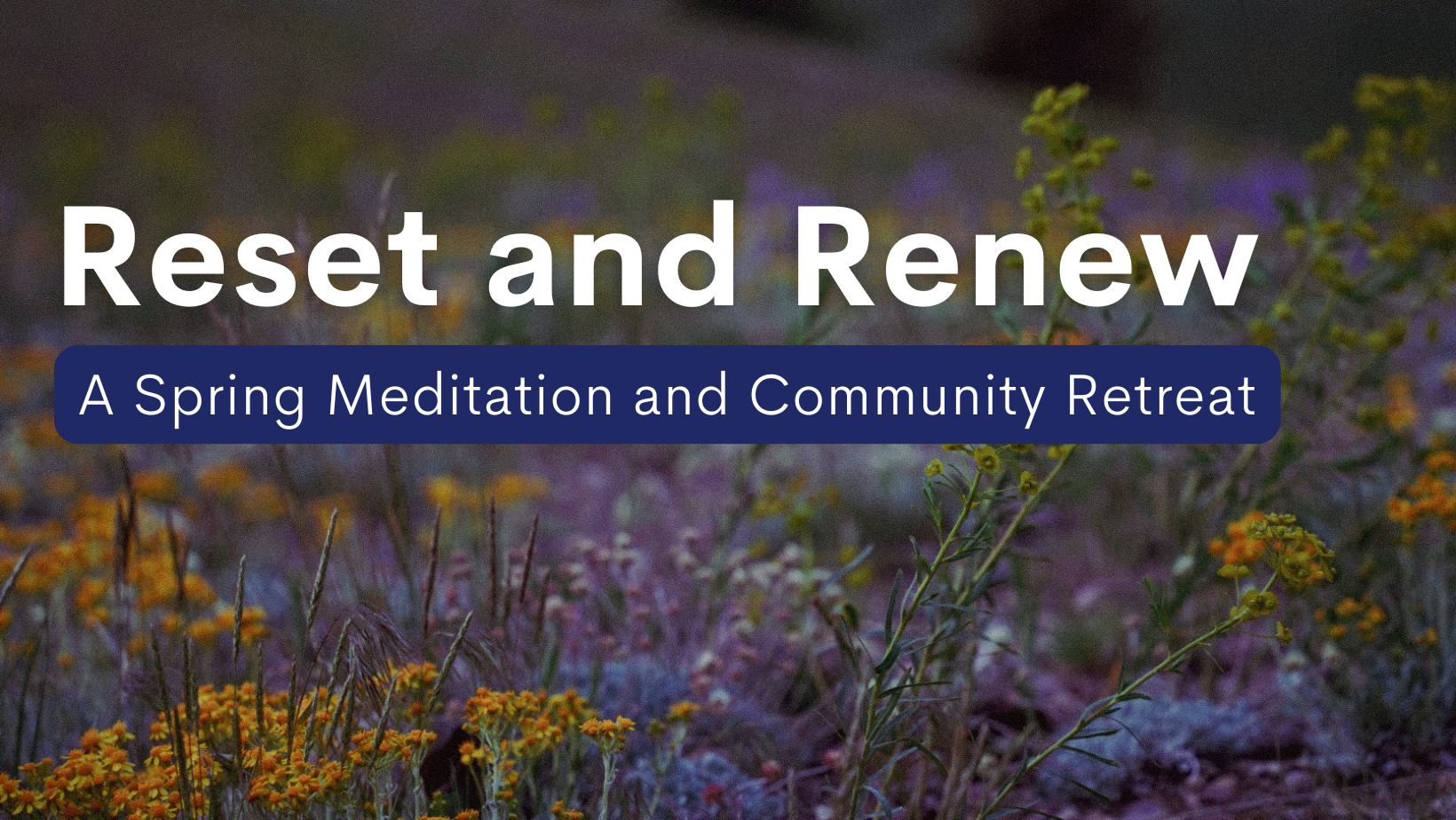 Spring Meditation Retreat