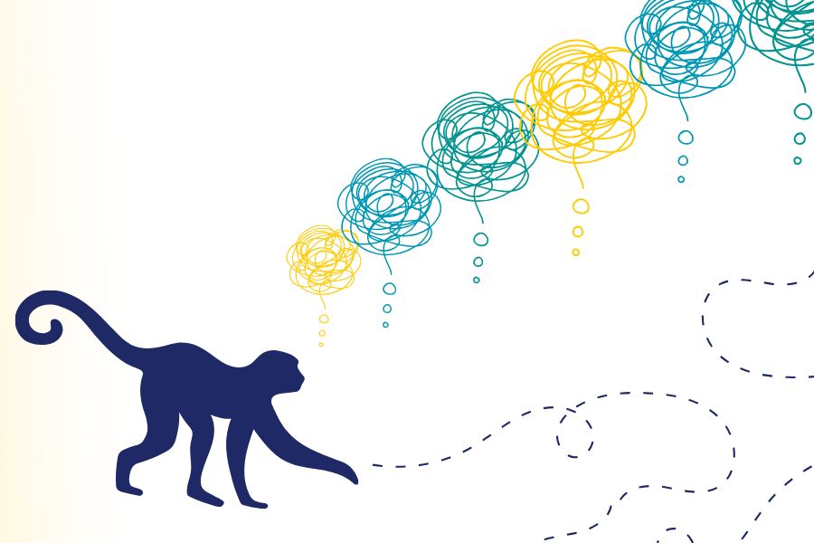 Monkey chasing its thoughts.