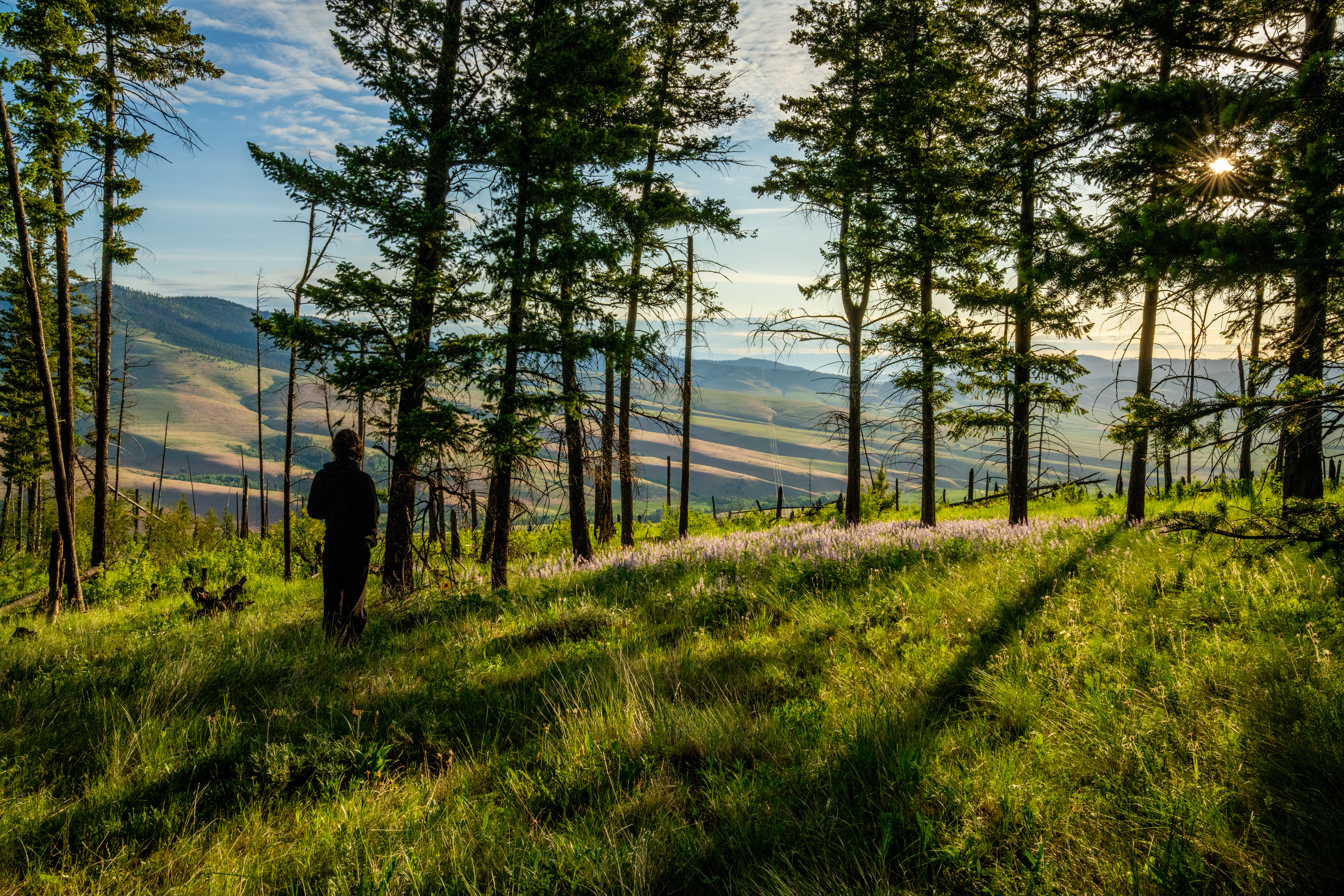 Permaculture in Montana: A Student’s Story of Growth