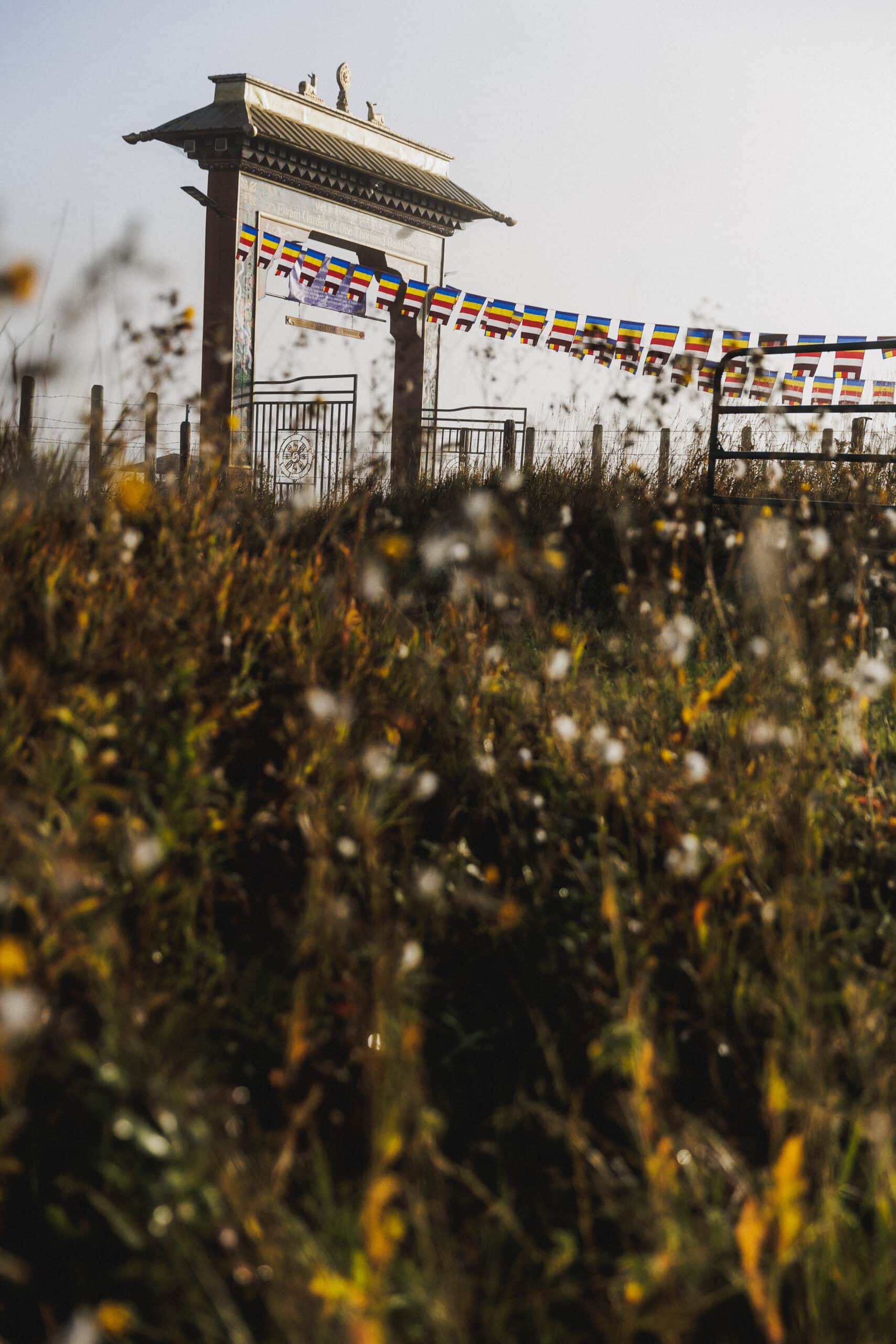 The Profound Wisdom of the Heart Sutra: An Introductory Exploration