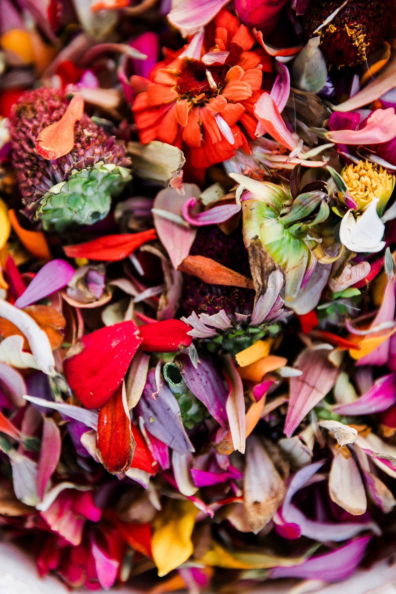 A vibrant close-up of mixed red, pink, and yellow flower petals used for traditional Buddhist offerings.
