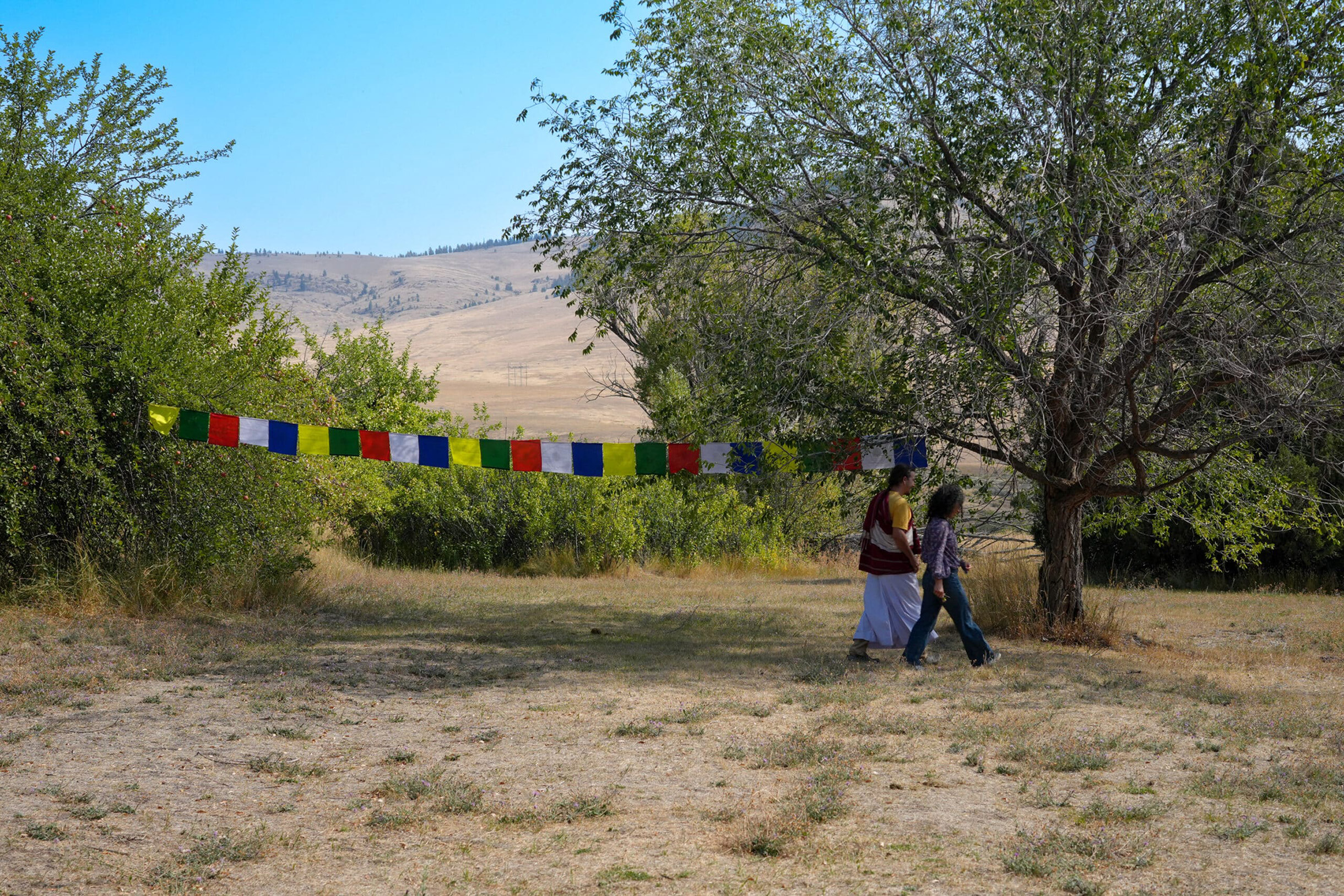 What is Karma in Buddhism | The Law of Karma