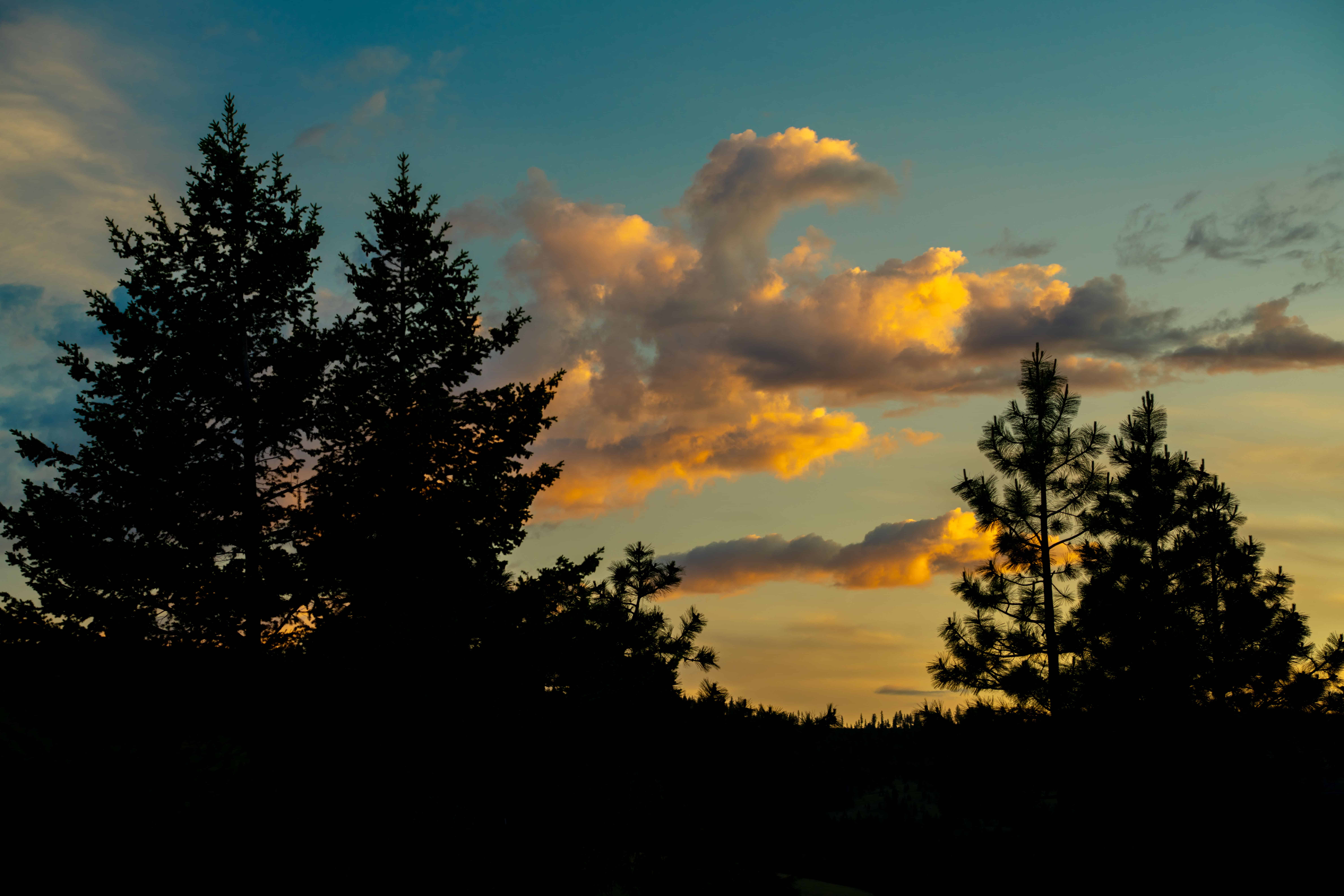 My First Meditation Retreat: Honest Reflections from Ryann