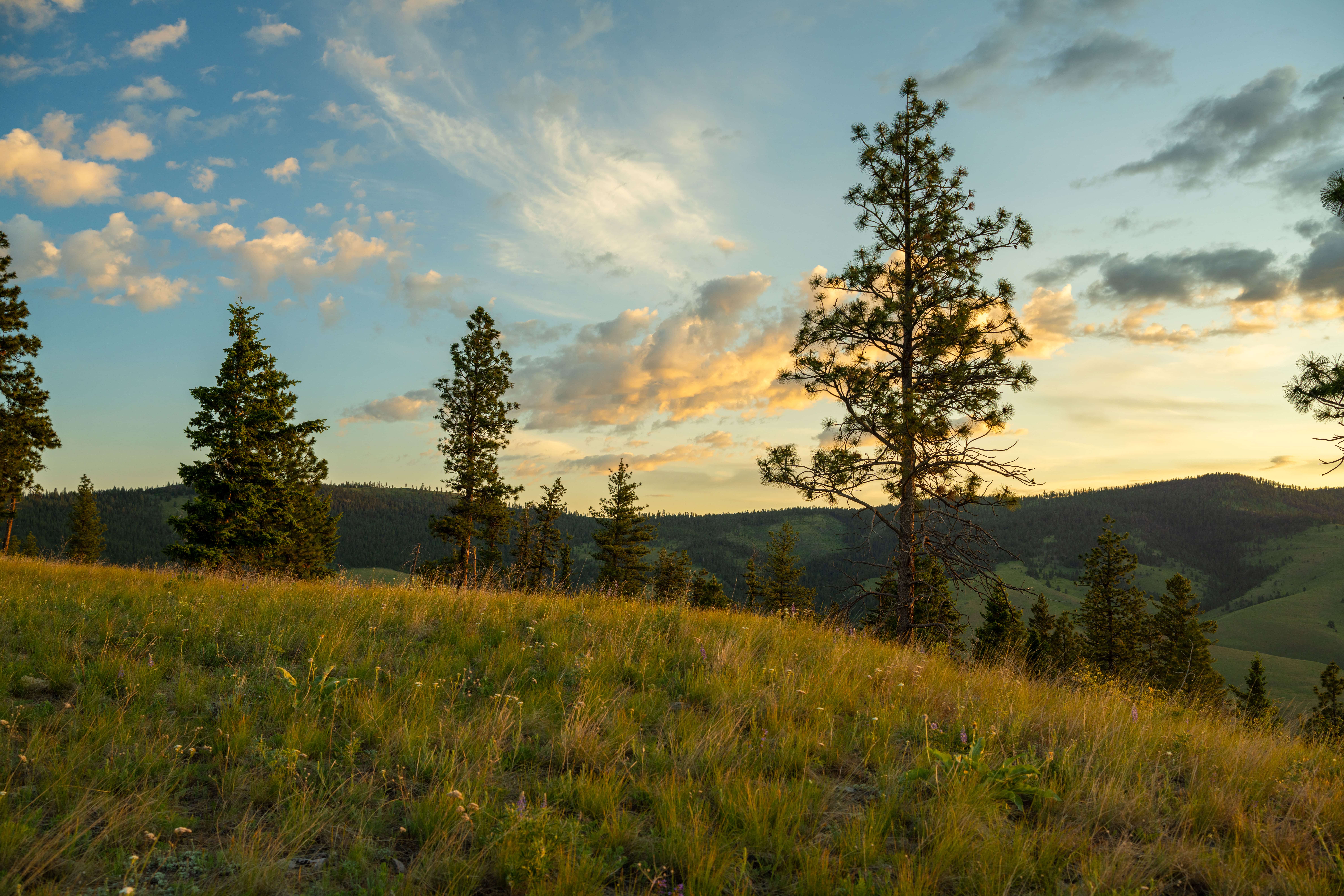 Compassion in Action Student Spotlight: Dancer