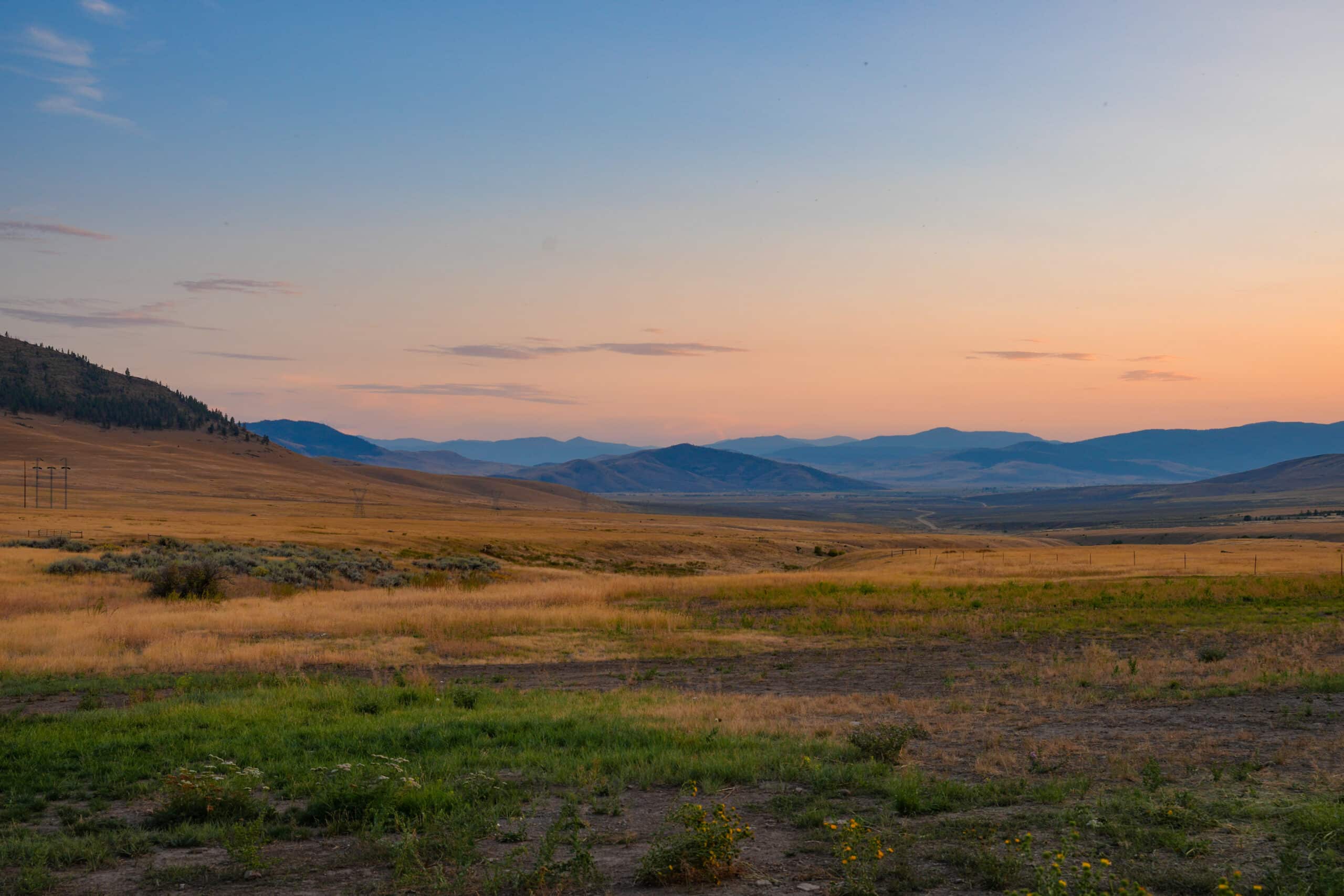 Black Lives Matter: Solidarity & Support