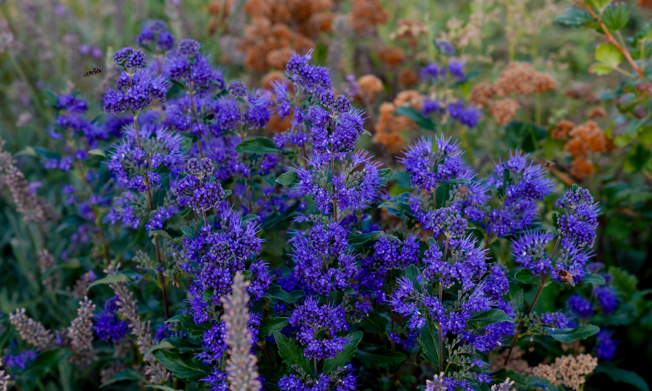 floating-image-sample