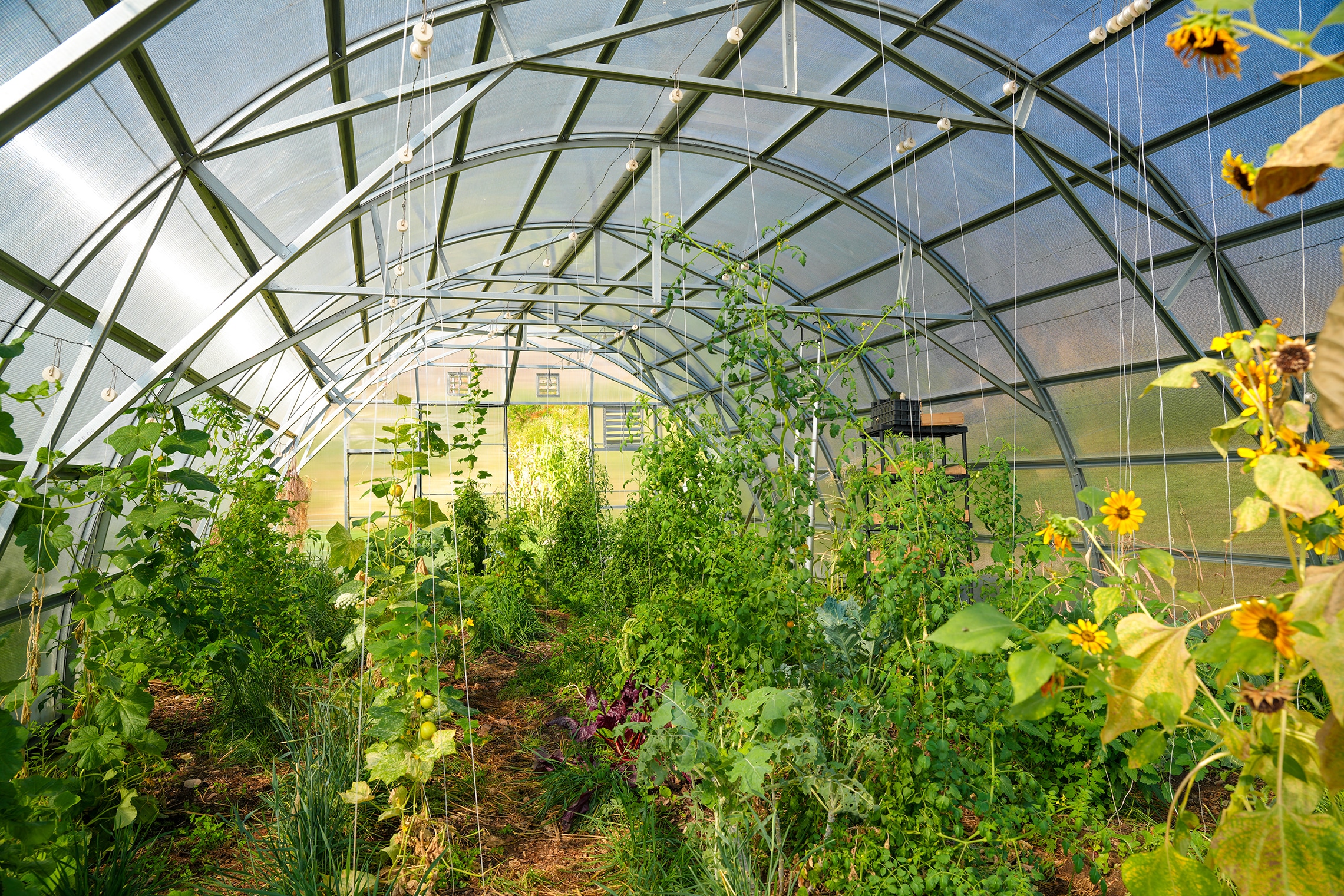 Permaculture in Montana