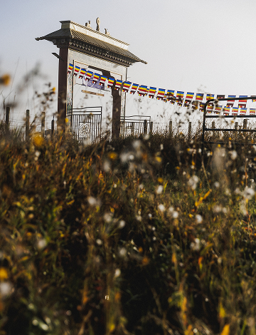 A view through wild meadow grass of the Ewam entrance and colorful prayer flags under a bright sky at the Namchak Retreat Ranch.