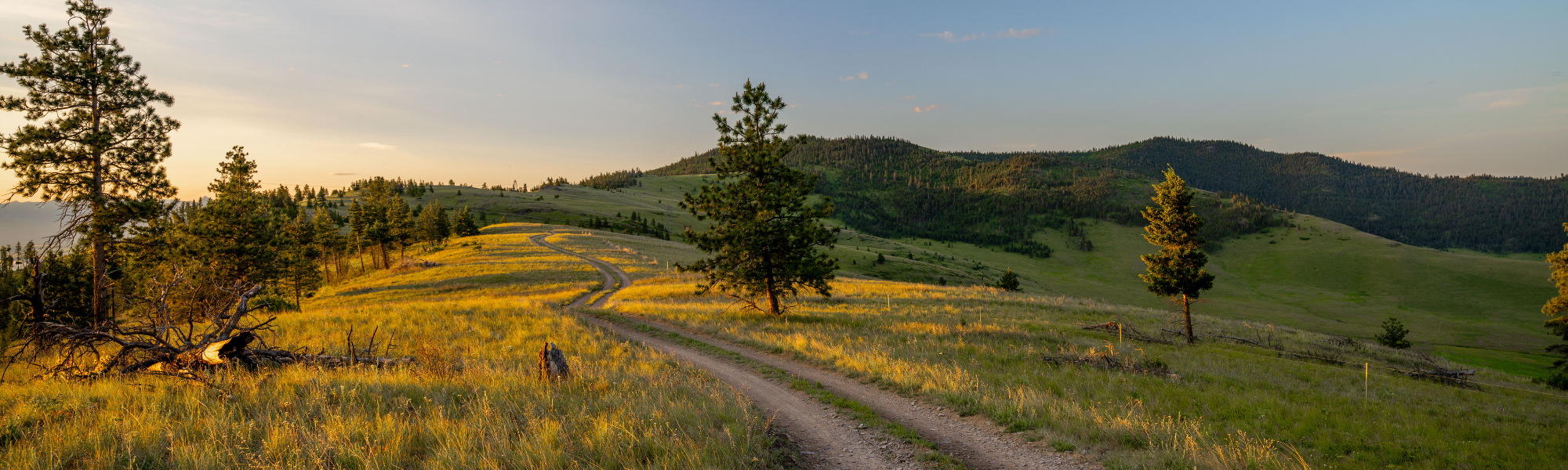 The Noble Eightfold Path