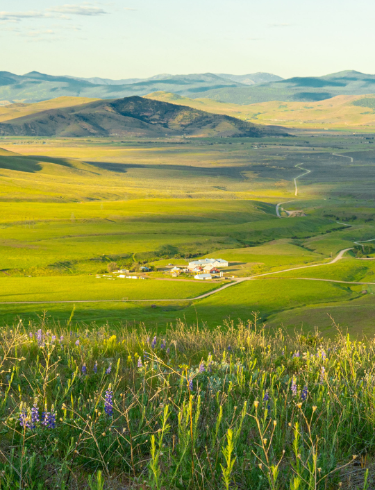 Expansive green valley at Namchak 10,000 Acres in Montana with rolling hills, mountains, and a bright blue sky