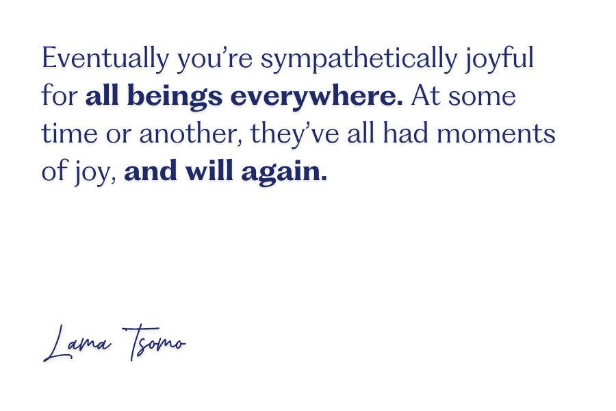 4immeas3 four boundless qualities sympathetic joy