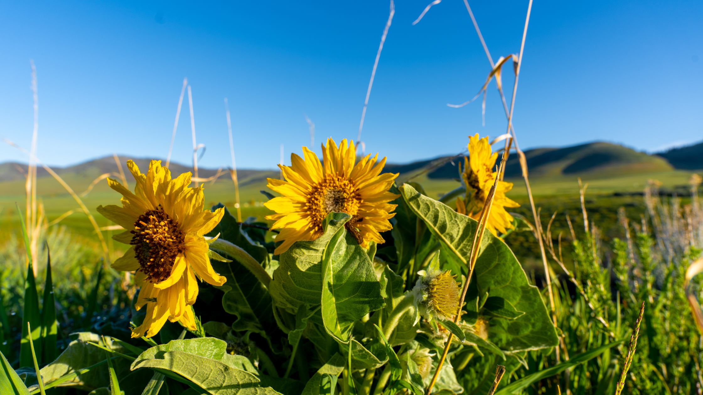 Three Simple Self-Compassion Exercises