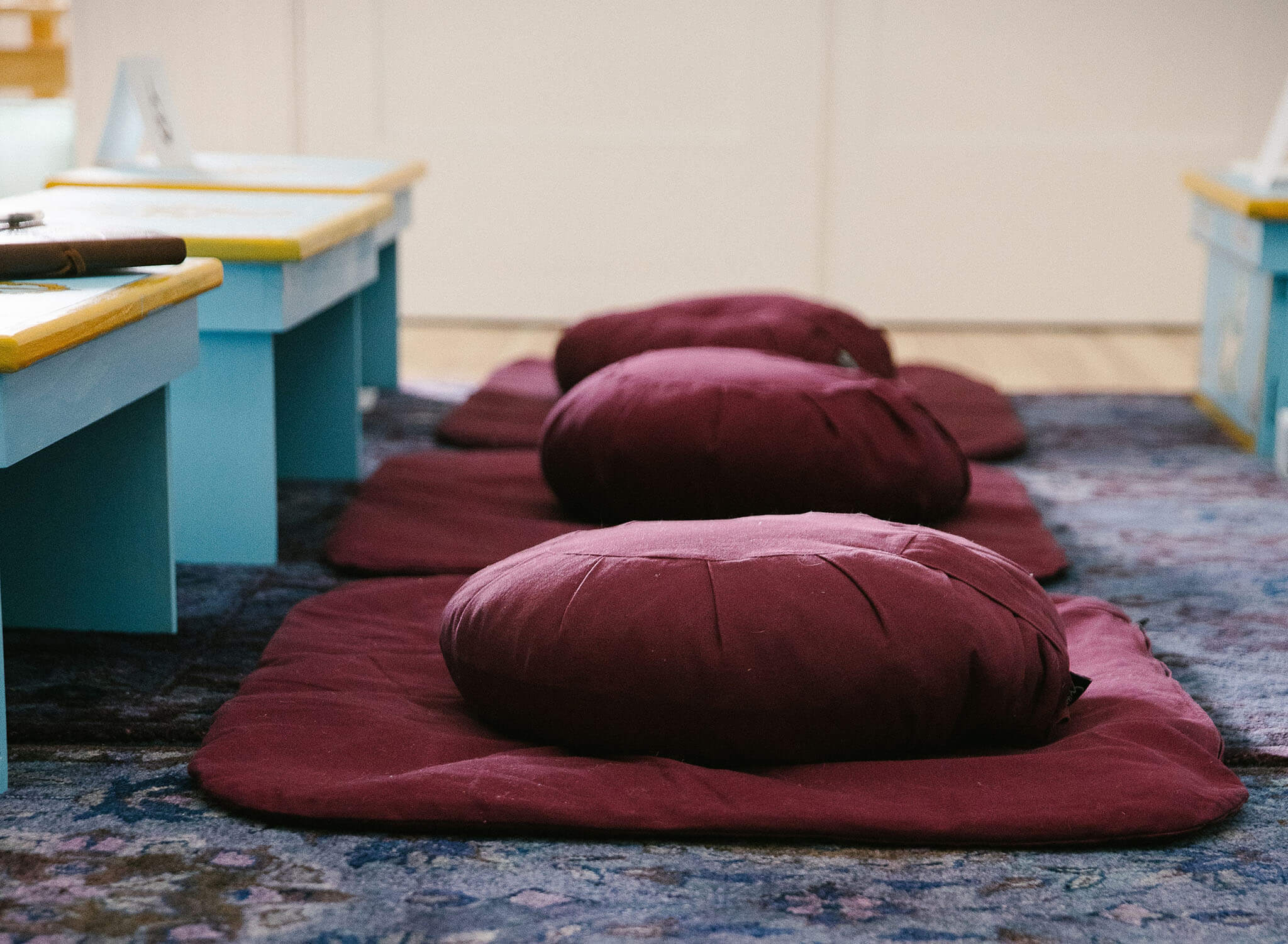 Cushion